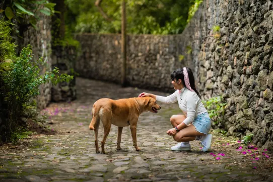A woman petting a brown dog on a stone path